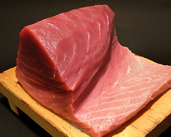 maguro